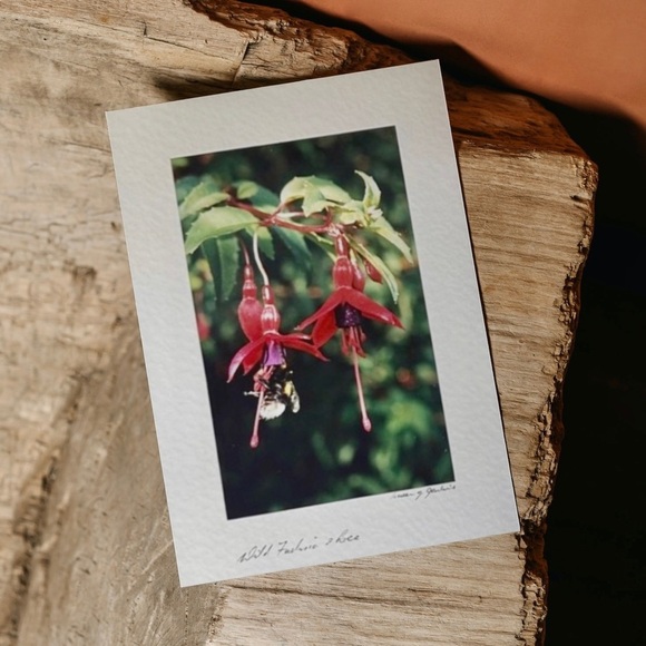 Wild Flower Stationary Card - Picture 4 of 15